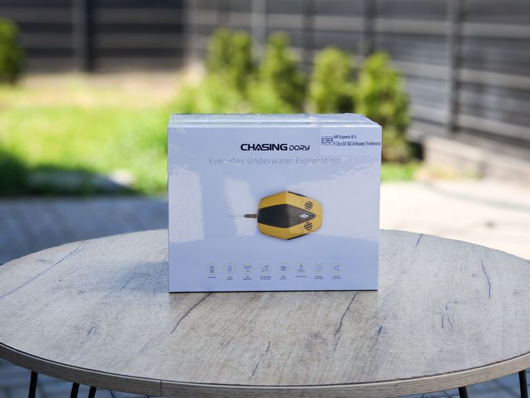 CHASING Dory Код:null. Изображение 9