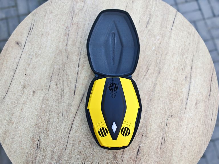 CHASING Dory Код:null. Изображение 5