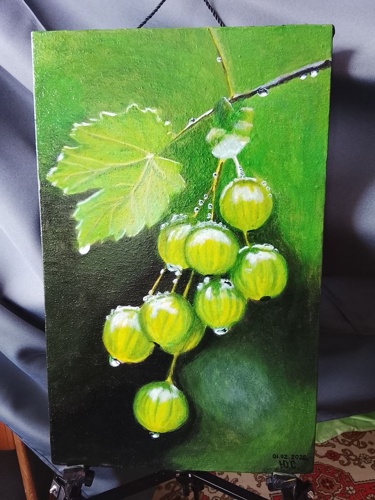 Купити Инша Б/У