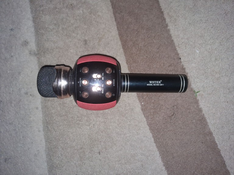 Купить WSTER MODEL NO:WS-2911 Б/У