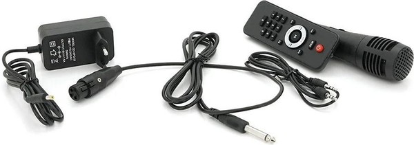 Купить Акустическая переносная колонка ZXX-7171 600Вт (12