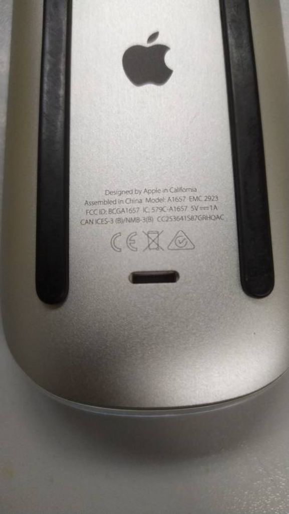 Apple magic mouse 2