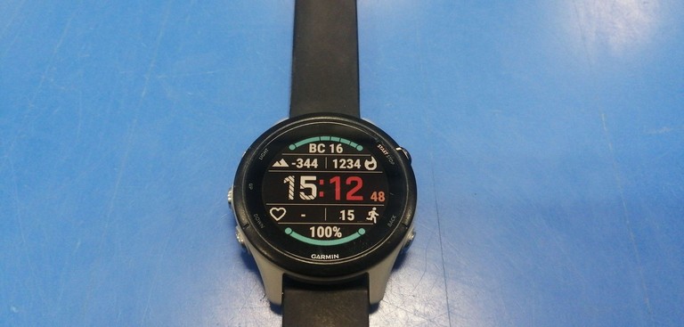 Купить Garmin Forerunner 255 gray Б/У