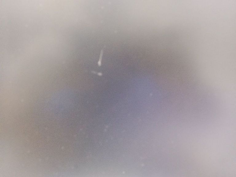 Оголошення Philips 243v7q Б/У