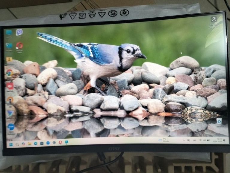 Купить Msi g2422c Б/У