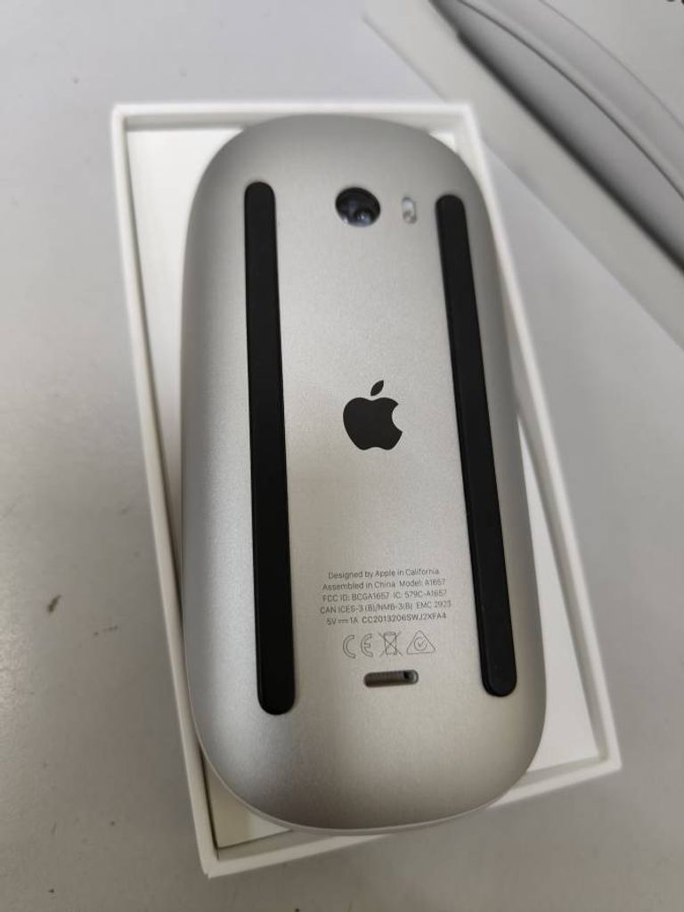 Apple magic mouse 2