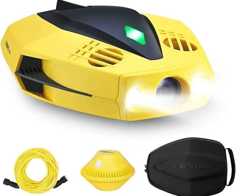 Купить CHASING Dory Б/У