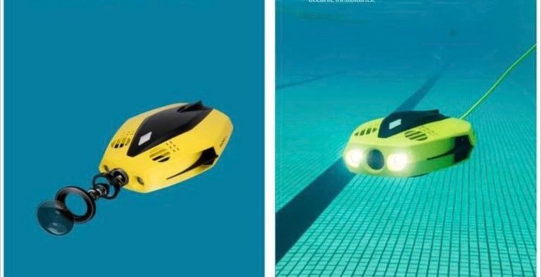 CHASING Dory Код:null. Изображение 10