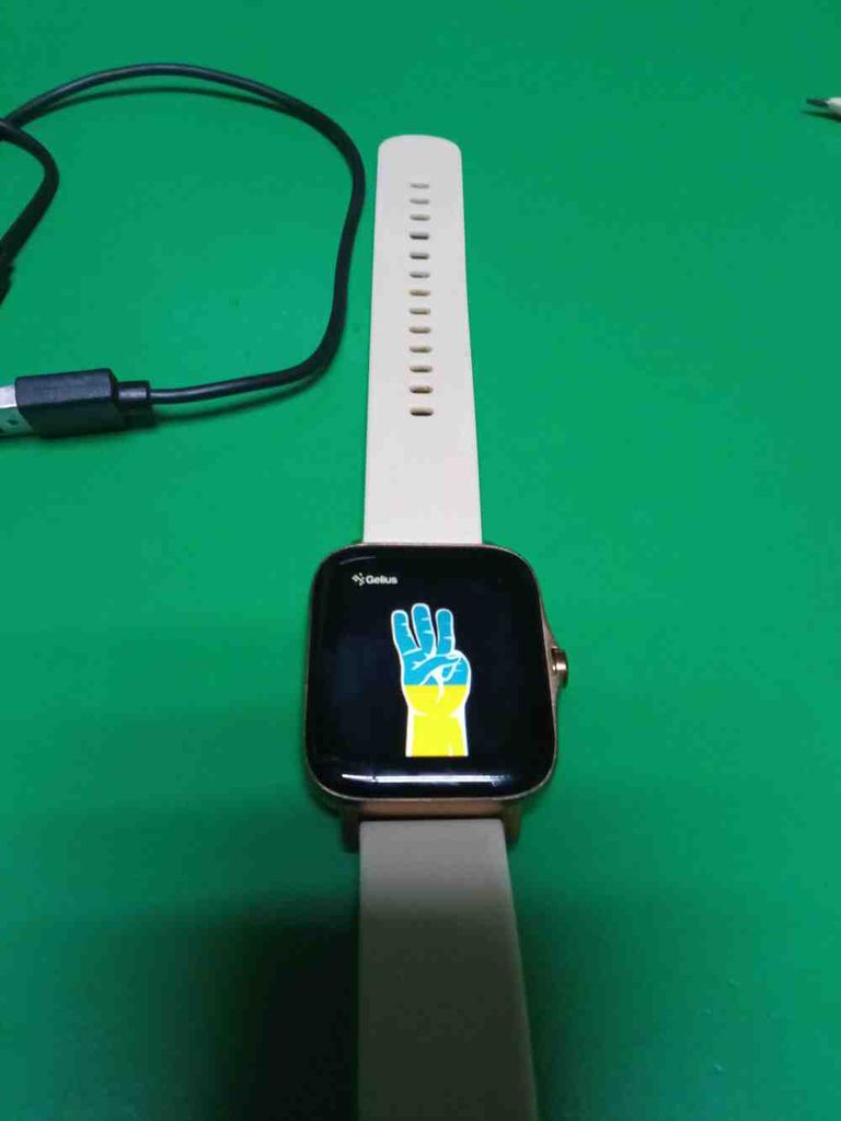 Купити Gelius Pro GP-SW004 (AMAZWATCH GT2) Black Б/У