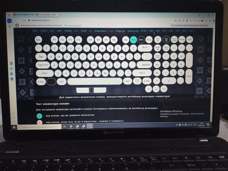 Купить Packard Bell 17/e1 1200 ddr3/8gb ddr4/hdd *відсутній/ssd 120 gb/*інтегрована Б/У