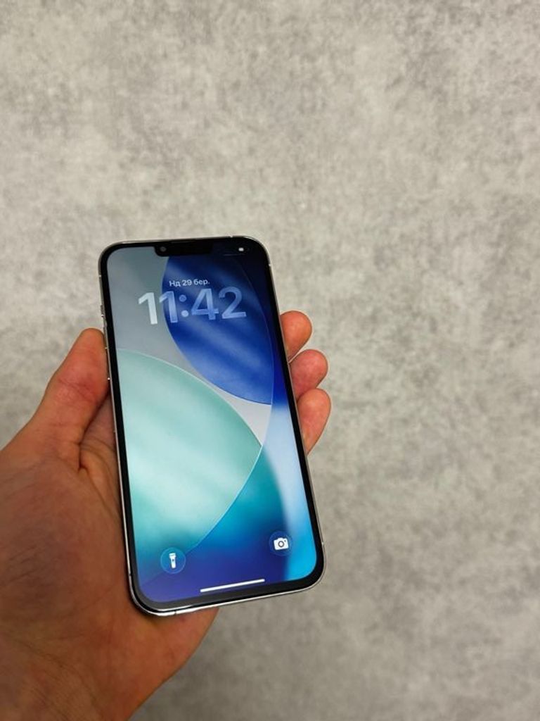 Купити Apple iPhone 13 Pro Max 1TB  Б/У
