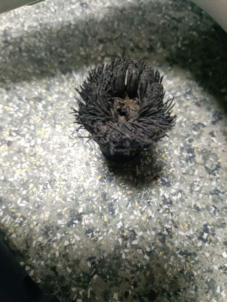 Karcher SC 1 (1.516-260.0) Код:01-200509429. Изображение 6