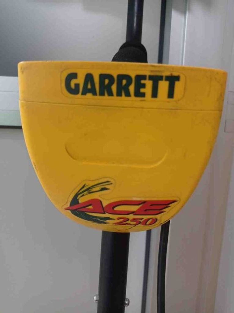 Garrett ACE 250