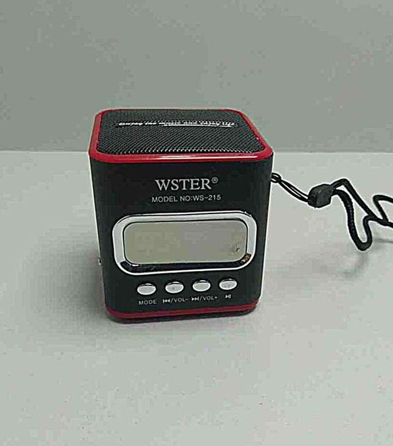 Wster WS-215