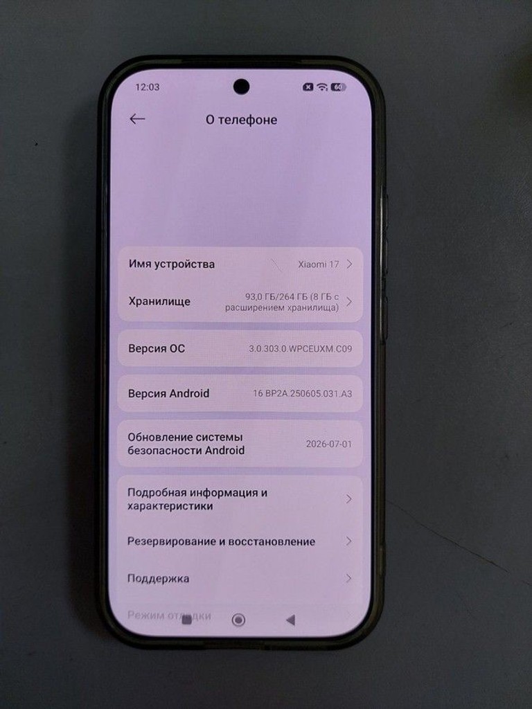 Оголошення Xiaomi 17 12/256GB Blue Б/У