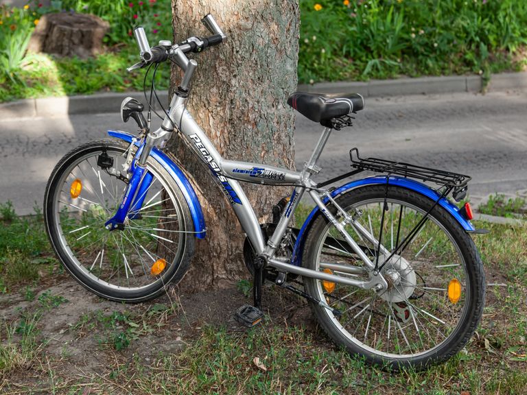 Объявление PEGASUS powerstyle 200M Б/У