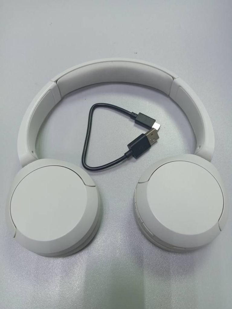 Sony WH-CH520 White