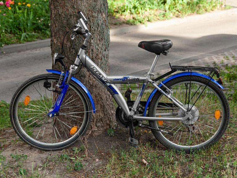 Купить PEGASUS powerstyle 200M Б/У