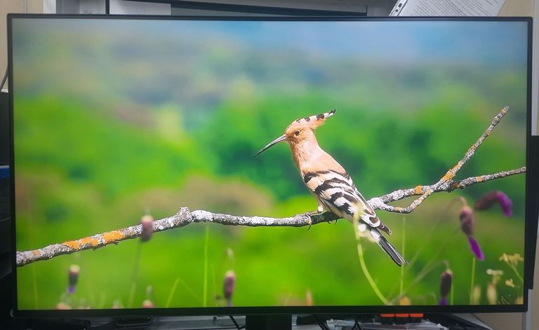 LG 27GN950-B Код:01-200911669. Зображення 5