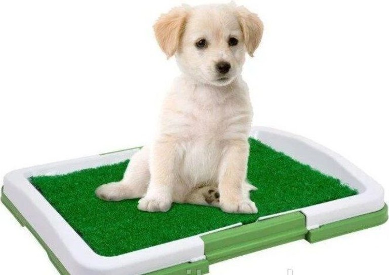 Купити Puppy Potty Pad MH-872 Б/У