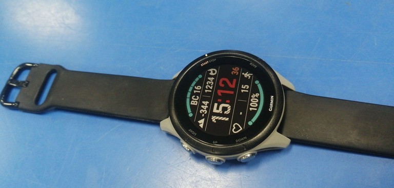 Распродажа Garmin Forerunner 255 gray, продавец Техноскарб