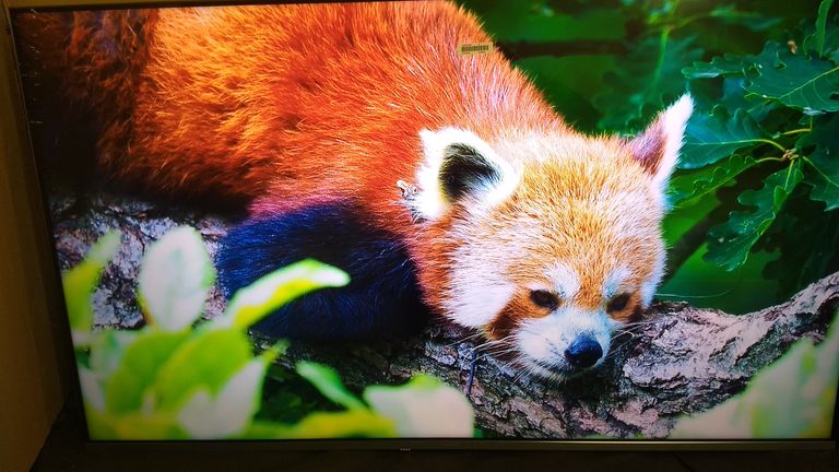 Дешево Xiaomi Mi TV Q1E 55 з ломбарду