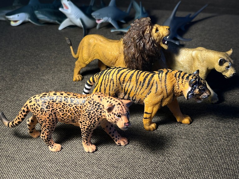 Collecta Код:null. Зображення 4