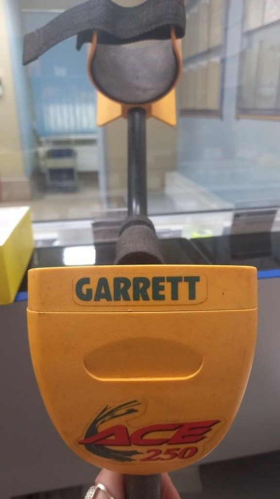 Купити Garrett ACE 250 Б/У