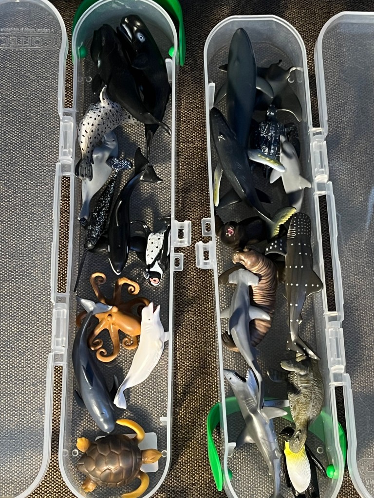 Collecta Код:null. Зображення 6