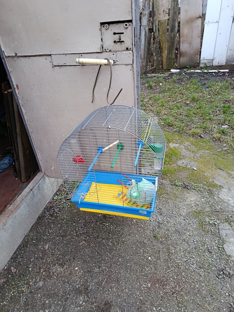Оголошення 22х32  Б/У