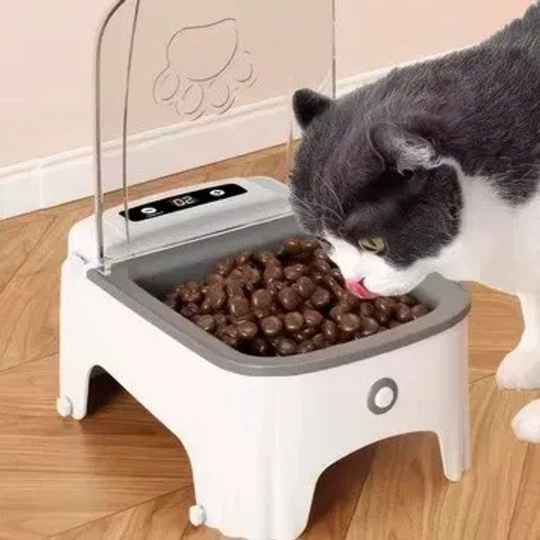 Купити для тварин для собак, кішок з таймером Б/У