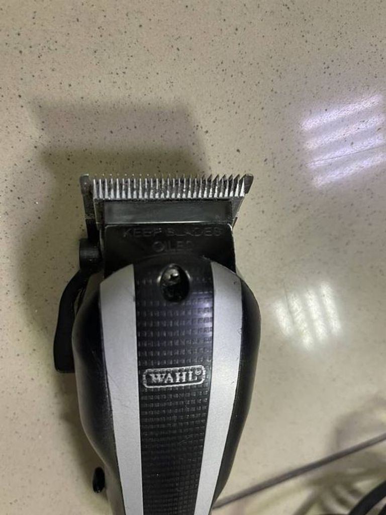 Wahl Icon 