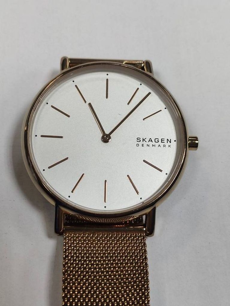 Skagen 252107