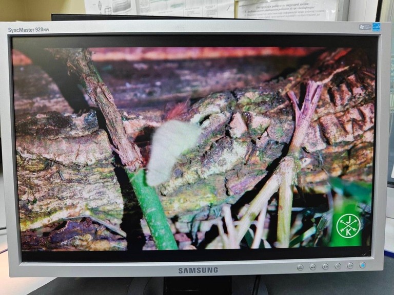 Купить Samsung 920nw Б/У