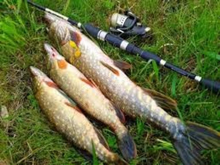 Дешиво Силіконова приманка "Perfect Taixing" DGY-10-040 с ломбарда