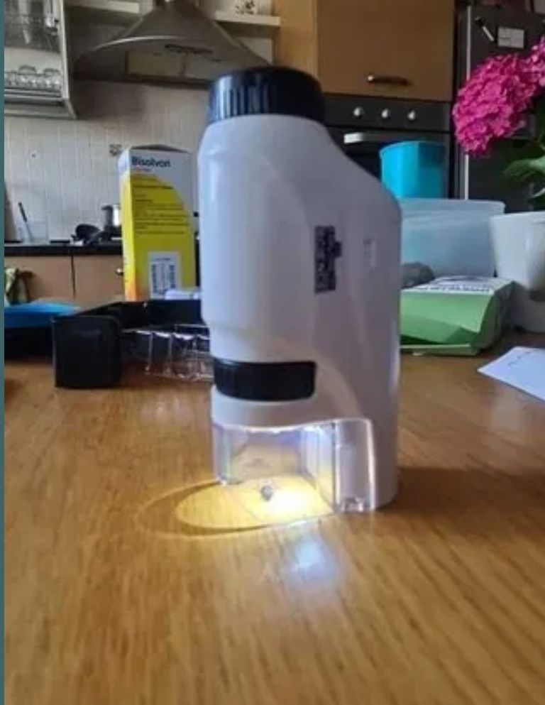 Купити Карманний дитячий мікроскоп 60х-120х Б/У