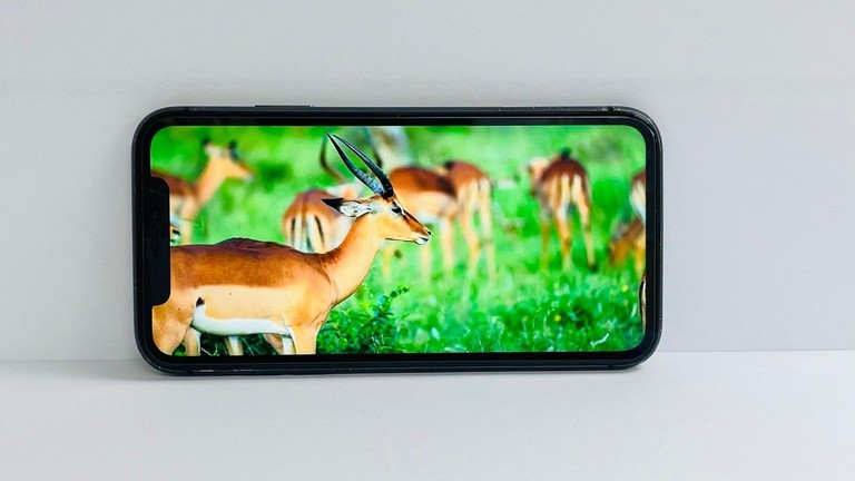 Apple iphone 11 64gb Код:01-201031434. Зображення 10