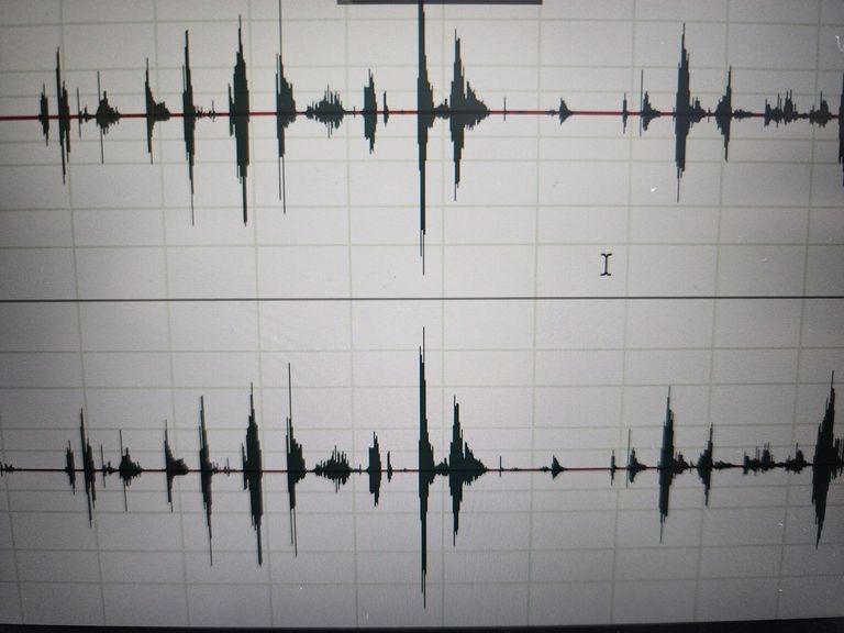 Jabra Evolve 65 TE MS Stereo Black (6699-833-309) Код:01-200497970. Изображение 5