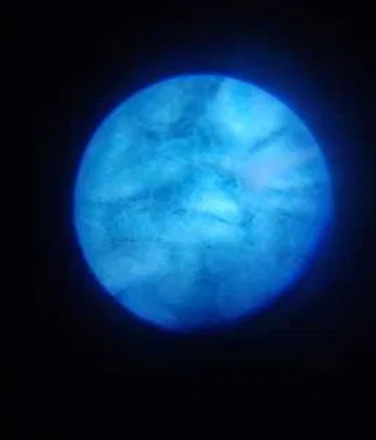 Карманний дитячий мікроскоп 60х-120х Код:null. Зображення 4