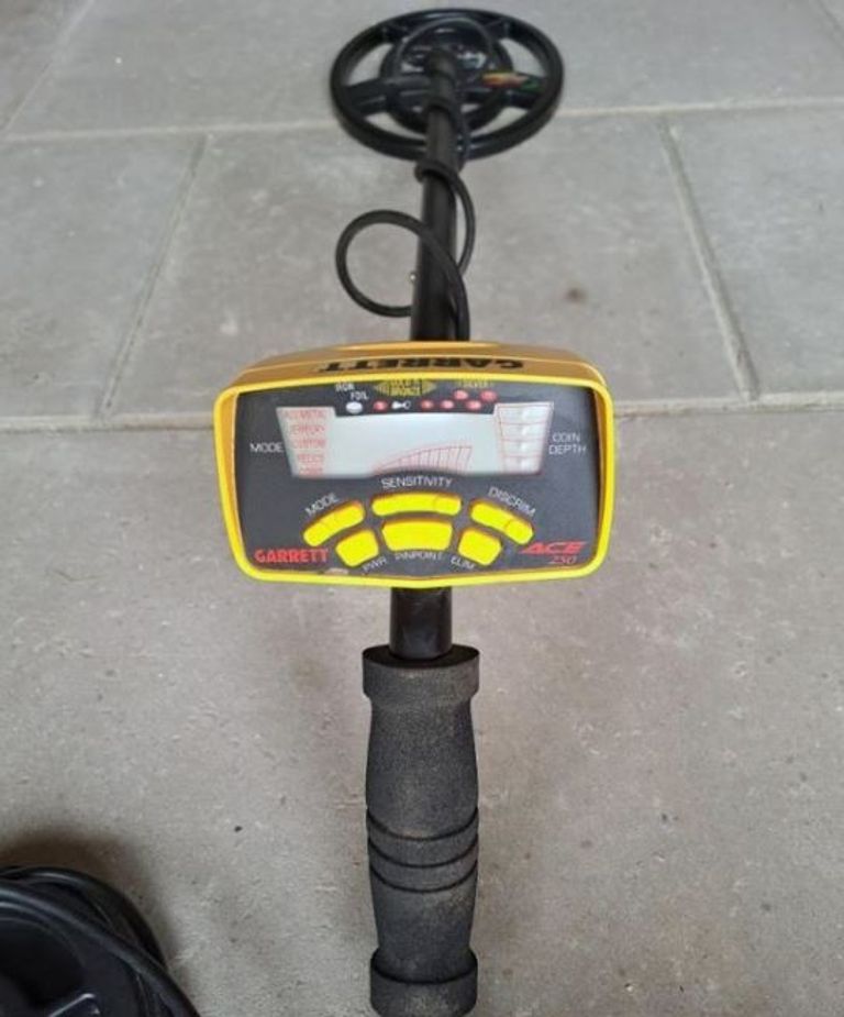 Купить Garrett ACE 250 Б/У