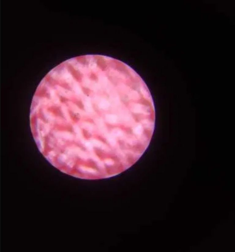 Дешево Карманний дитячий мікроскоп 60х-120х з ломбарду