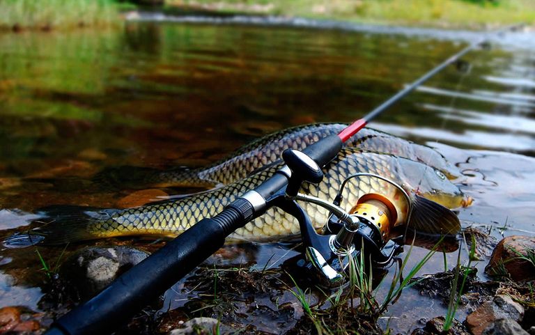 Силіконова приманка "Perfect Taixing" DGY-10-040 Код:null. Изображение 5