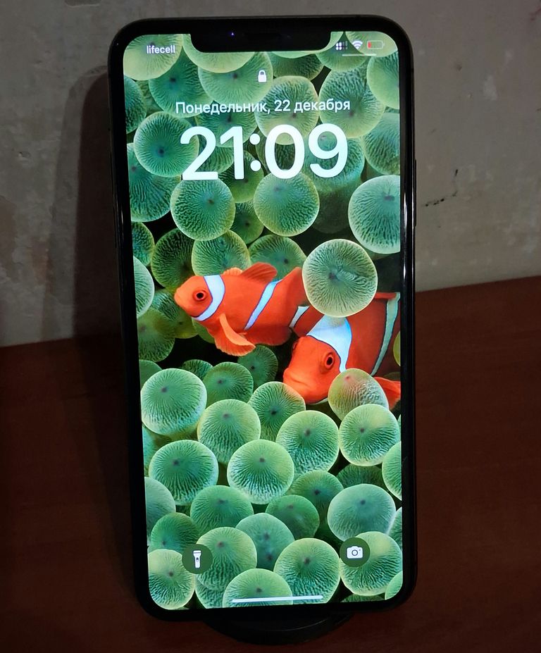 Купити Apple iPhone 11 Pro Max 64GB Space Gray (MWGY2; MWHD2) Б/У