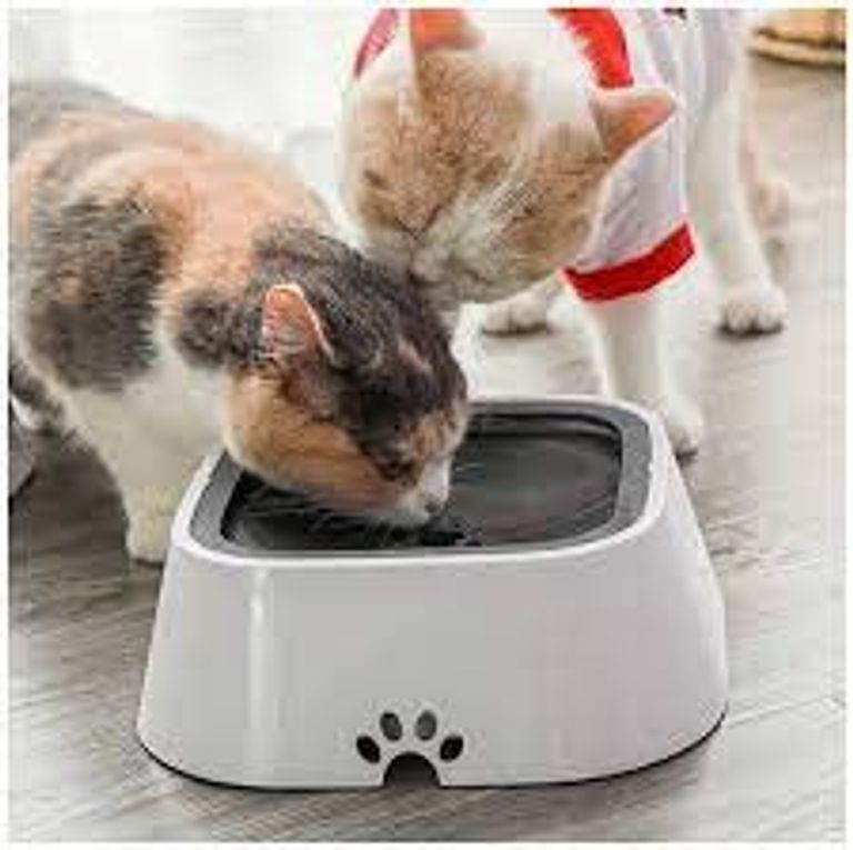 непроливайка для собак та кішок з плаваючим диском Миска антипроливайка для води MAGIC BOWL Біла 1,5л Код:null. Зображення 4