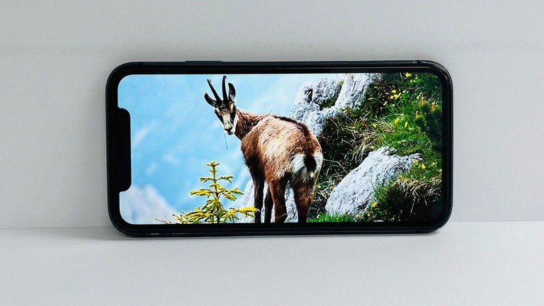Apple iphone 11 64gb Код:01-201031434. Зображення 11