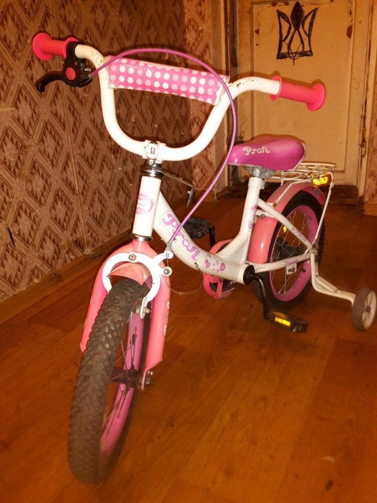 Купити Profi Princess Б/У