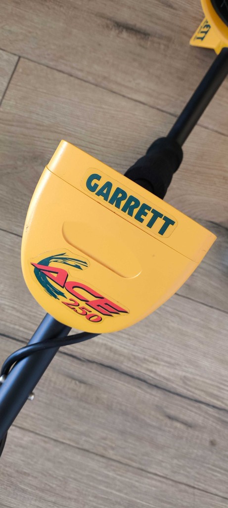 Дешево Garrett ACE 250 з ломбарду