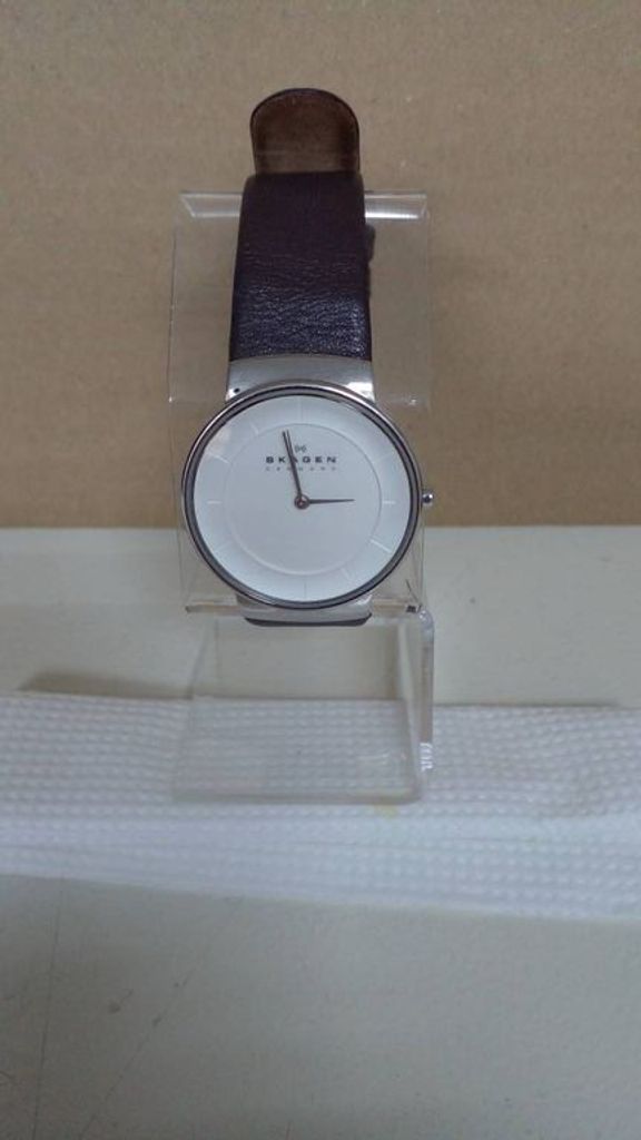 Skagen skw2058