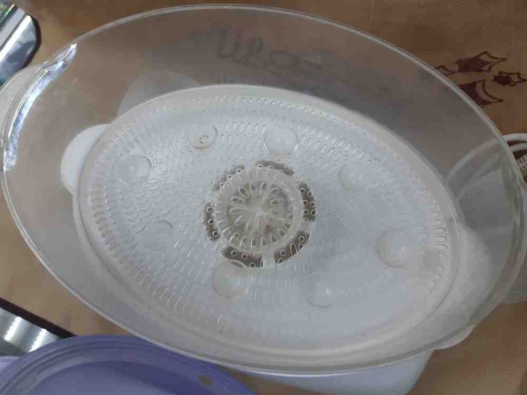 Zelmer SC1002 Lime (ZSC1002L) Код:2000002817345. Зображення 6