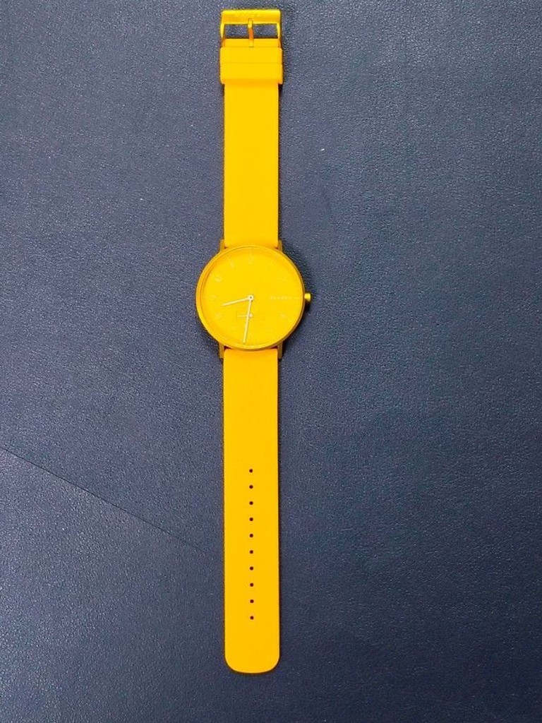 Купить Skagen SKW6510 Б/У